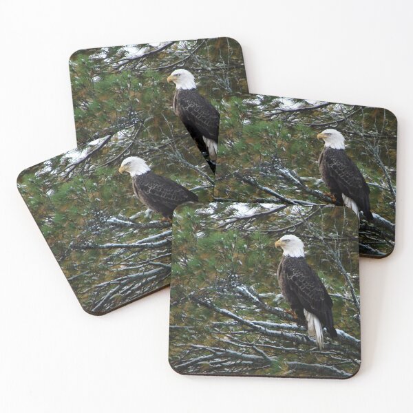 Item preview, Bald Eagle designed and sold by J Rier Photography.