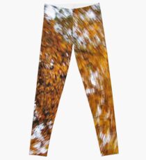 Autumn Daze II Leggings