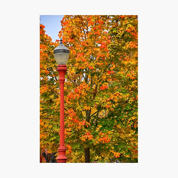Fall Lamppost Photographic Print