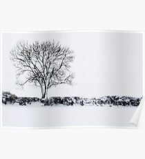 Snow Tree Poster