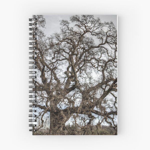 Item preview, Folsom Old Oak  designed and sold by Diego Re.