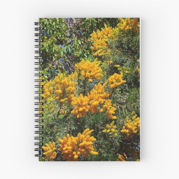 Item preview, Pinjarra Nuytsia floribunda designed and sold by lezvee.