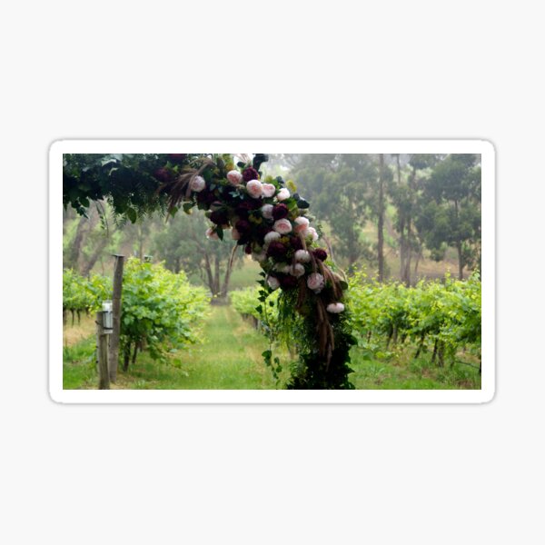 To have and to Hold - Magpie Springs - Adelaide Hills Wedding - Fleurieu Peninsula Wedding Sticker