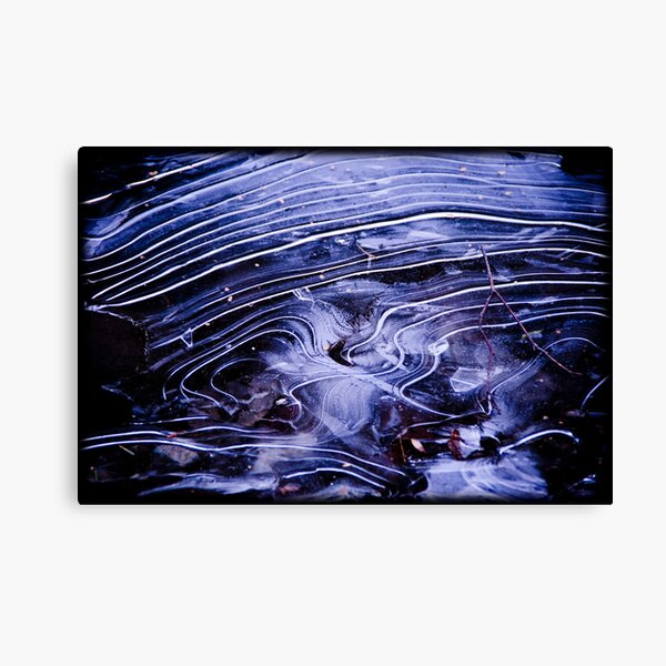 frozen intentions Canvas Print