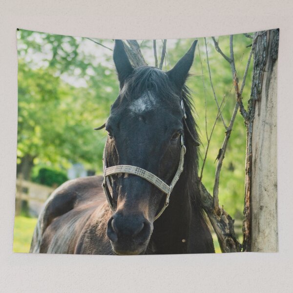 Item preview, the handsome horse designed and sold by KensLensDesigns.