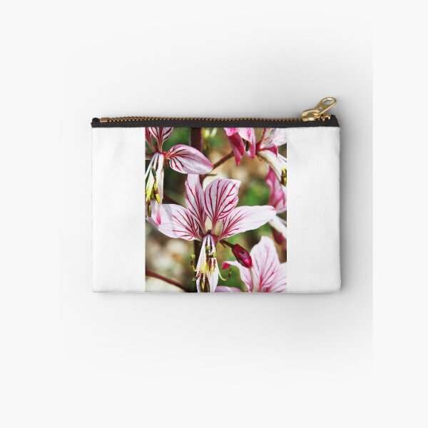 Item preview, Lycoris, Peppermint Surprise Lily (Lycoris incarnata) designed and sold by Sunil Bhardwaj.