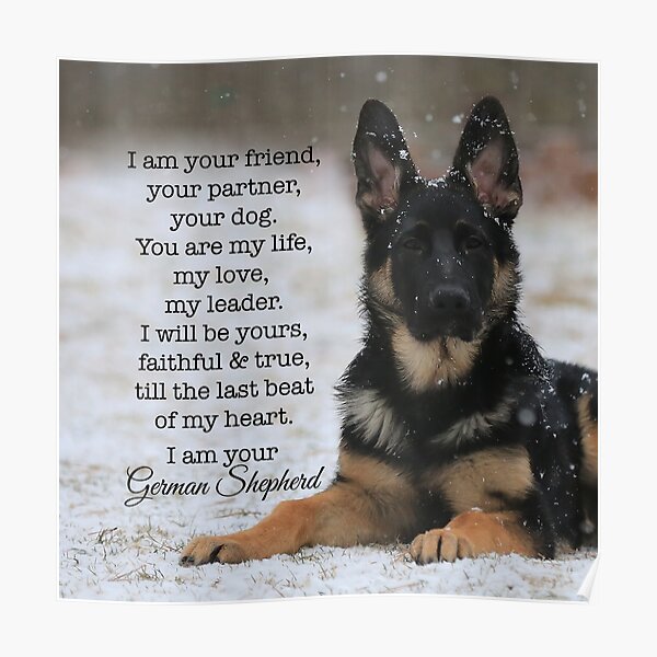 I Am Your German Shepherd Poster