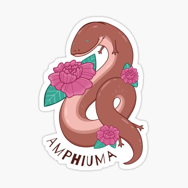 Item preview, AMPHIUMA designed and sold by Macbendigo.