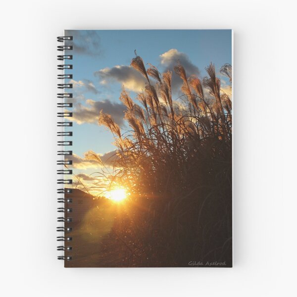 Item preview, Sunset in the Ornamental Grass designed and sold by Gilda Axelrod.