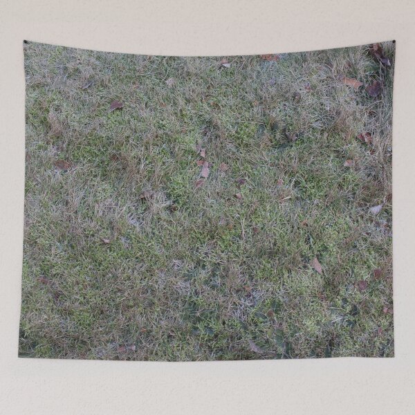 Item preview, Grass 4 designed and sold by Logan McCarthy.