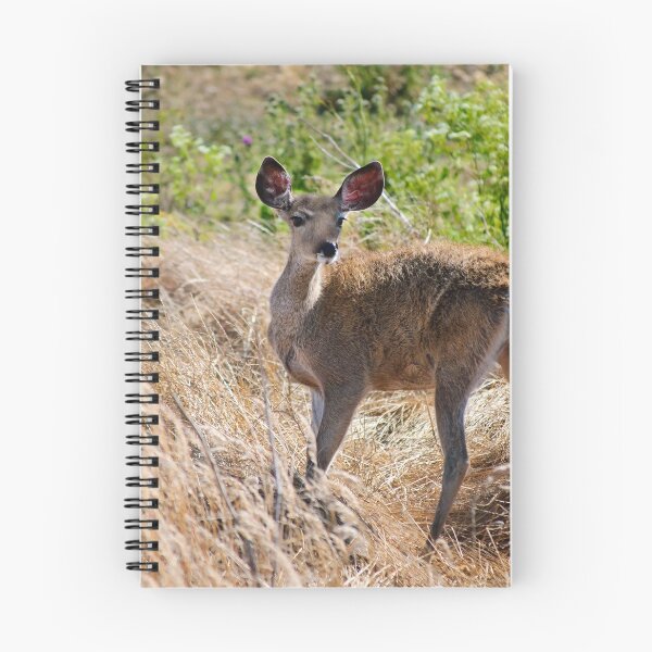 Item preview, Young Deer designed and sold by Diego Re.