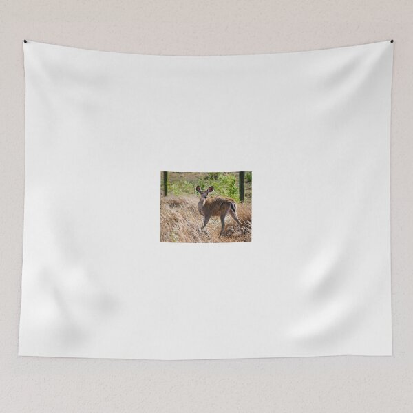 Item preview, Young Deer designed and sold by Diego Re.