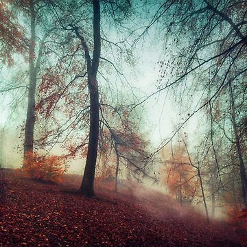 Artwork thumbnail, Fall Feeling - Colourful Autumn Impression by Dyrk Wyst Redbubble Shop