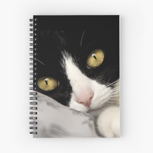 Item preview, Cat Portrait, Beautiful Cat, Cats Eyes, Whiskers, Kitty Love designed and sold by Ingrid Beddoes Photography.