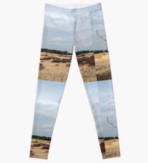 The heath on the Veluwe (The Netherlands) Leggings