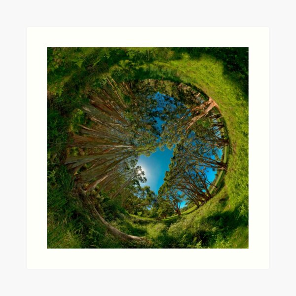 Stereographic view from Lachlan Swamp Art Print