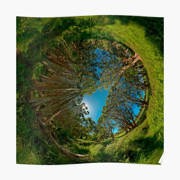 Stereographic view from Lachlan Swamp Poster
