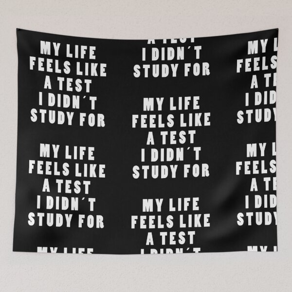 Item preview, MY LIFE FEELS LIKE A TEST DIDNT STUDY FOR! GIFT designed and sold by JamesandLuis.