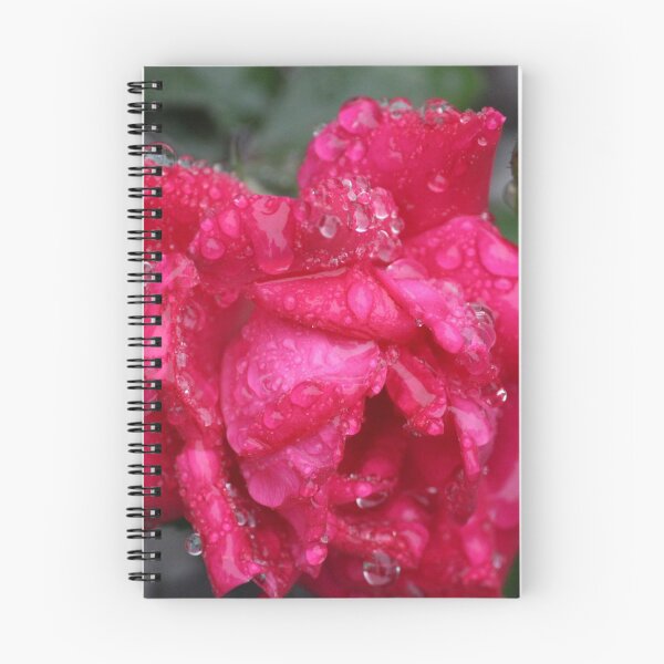 Item preview, Red Rose with Water Droplets designed and sold by Frank Orzechowicz.
