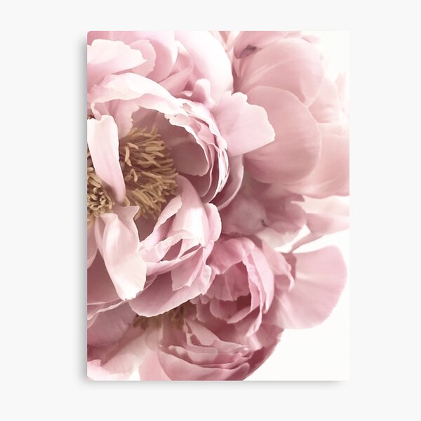 Pretty Pink Floral Metal Print