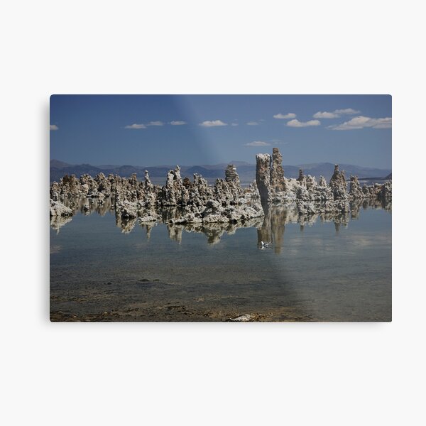 Mono Lake in July Metal Print