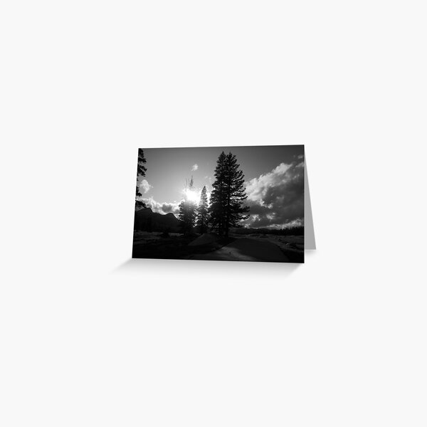 Tuolumne Meadows in Yosemite Park Greeting Card