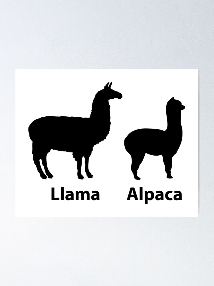 Póster «Llama vs Alpaca Silhouette - La diferencia entre una Llama y