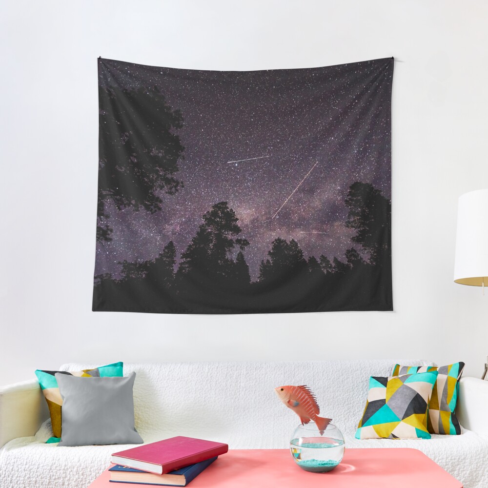 Disover Busy Sky - Shooting Stars Planes and Satellites in Colorado Night Sky Tapestry