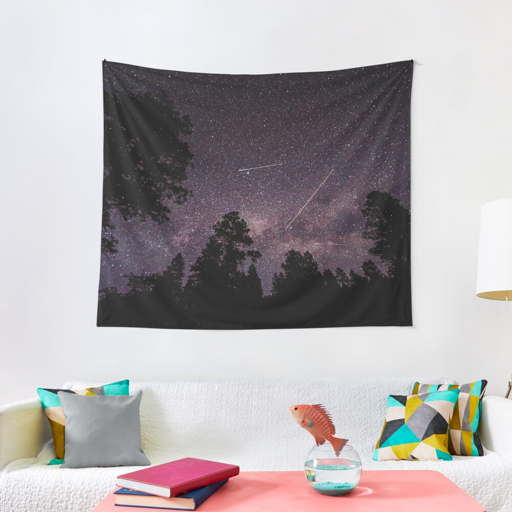 Discover Busy Sky - Shooting Stars Planes and Satellites in Colorado Night Sky Tapestry