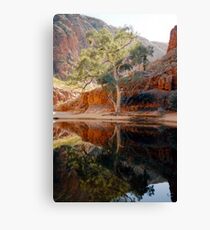 Ormiston Gorge Canvas Print