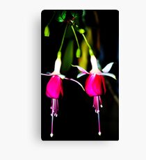 Dangly bits Canvas Print