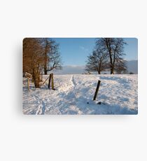 Snow Canvas Print