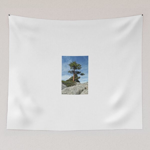 Item preview, Ponderosa Pine and Granite Boulders designed and sold by Jeff Goulden Photography.