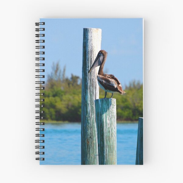 Item preview, Pelican at The Inlet Ft. Pierce, Florida designed and sold by BuffaloBob.