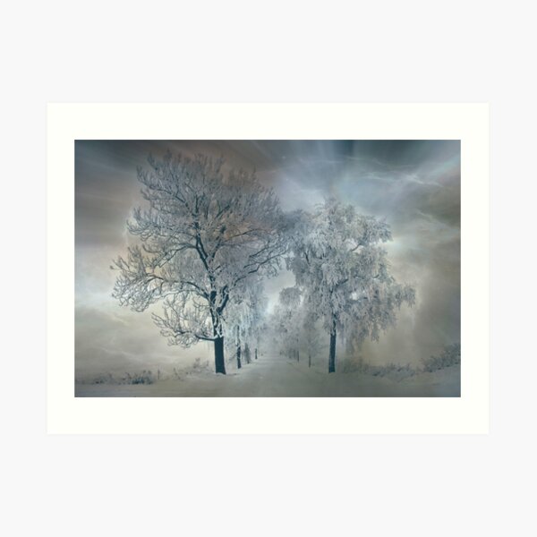 Winter's magic Art Print