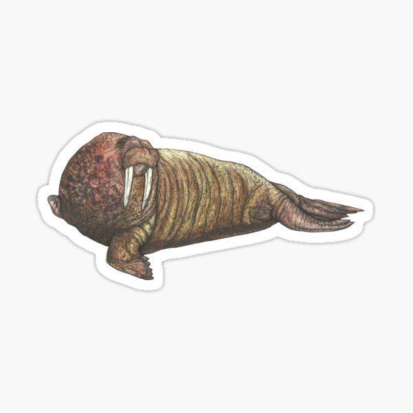 Item preview, Walrus designed and sold by SerenSketches.