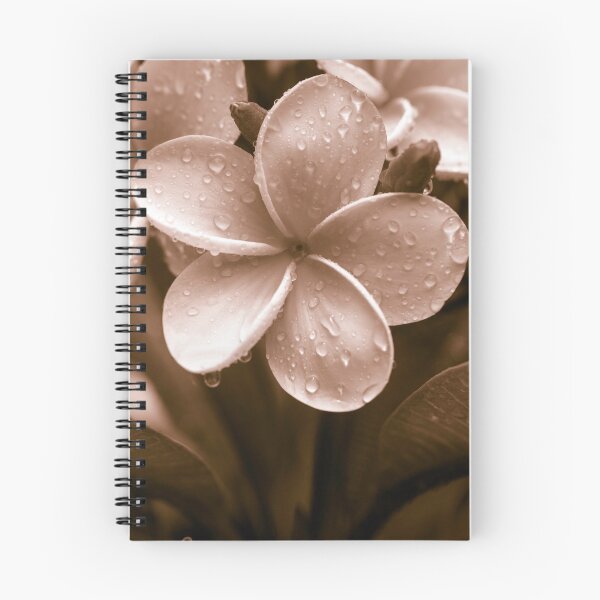 Item preview, Abundance, in sepia designed and sold by Aires Photography.