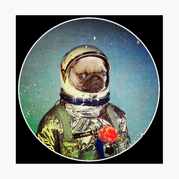 Item preview, Astropug designed and sold by darklordpug.