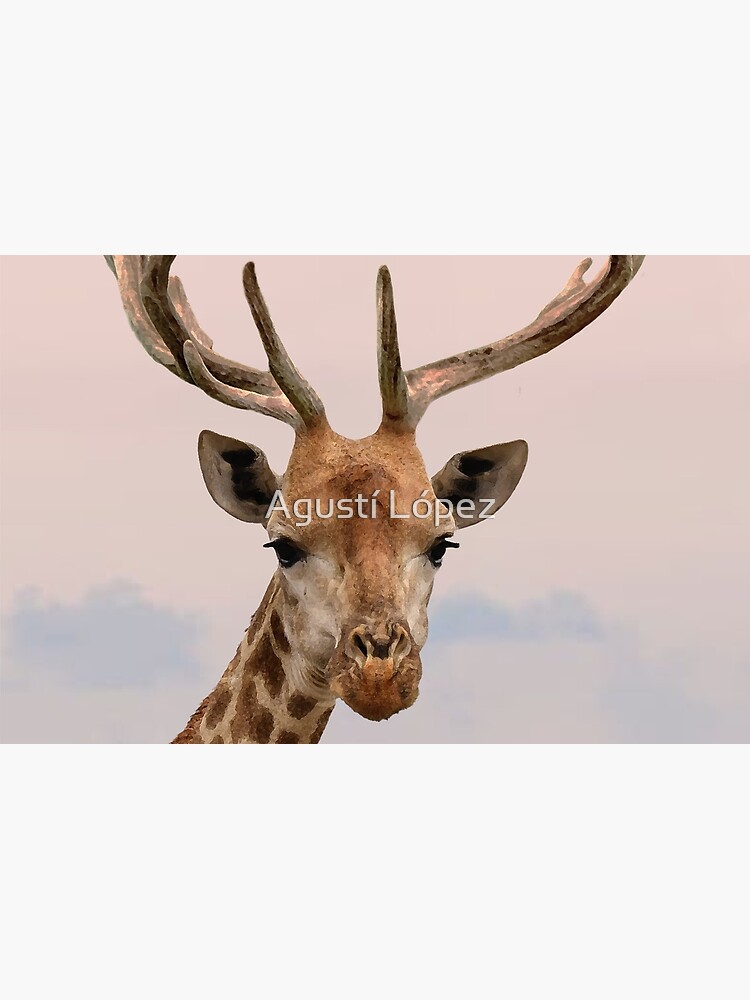 giraffe horns