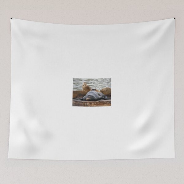 Item preview, Sealions Sleeping On The Pier designed and sold by Diego Re.