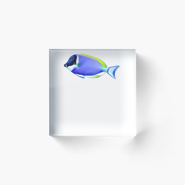 Powder Blue tang saltwater reef fish Acrylic Block