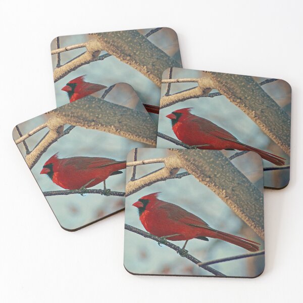 Item preview, Pretty Cardinal designed and sold by Frankie Cat Photography.