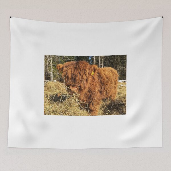 Item preview, Scottish Highland Cattle Calf 1730 designed and sold by SaarelaHighland.