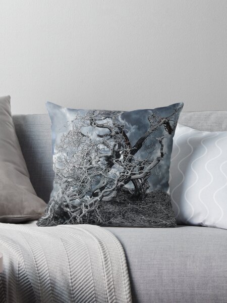 Tahoe...the Dream Throw Pillow