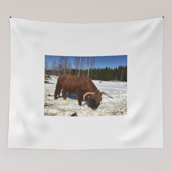 Item preview, Scottish Highland Cattle Bull 1736 designed and sold by SaarelaHighland.