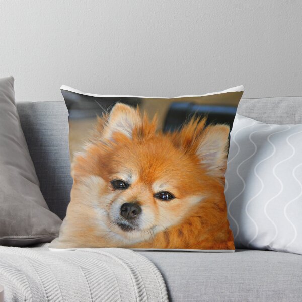 Item preview, Pomeranian designed and sold by Dana Yoachum.