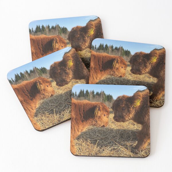 Item preview, Scottish Highland Cattle Calves 1739 designed and sold by SaarelaHighland.