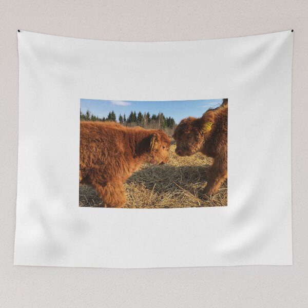 Item preview, Scottish Highland Cattle Calves 1739 designed and sold by SaarelaHighland.