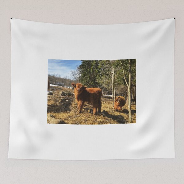 Item preview, Scottish Highland Cattle Cow and Calf 1742 designed and sold by SaarelaHighland.