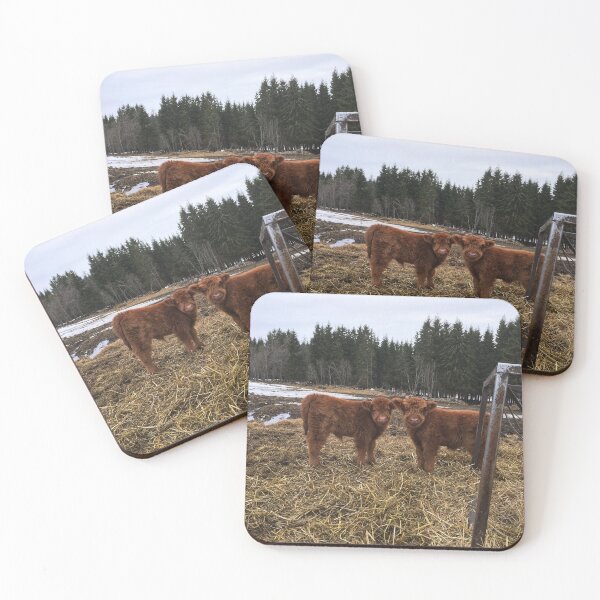 Item preview, Scottish Highland Cattle Calves 1746 designed and sold by SaarelaHighland.